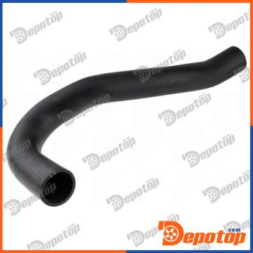 Gaine de suralimentation pour CITROEN | GPP-CT-032, 66-14942